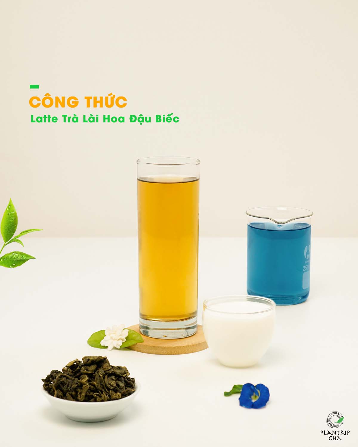 Latte Trà Lài Hoa Đậu Biếc.