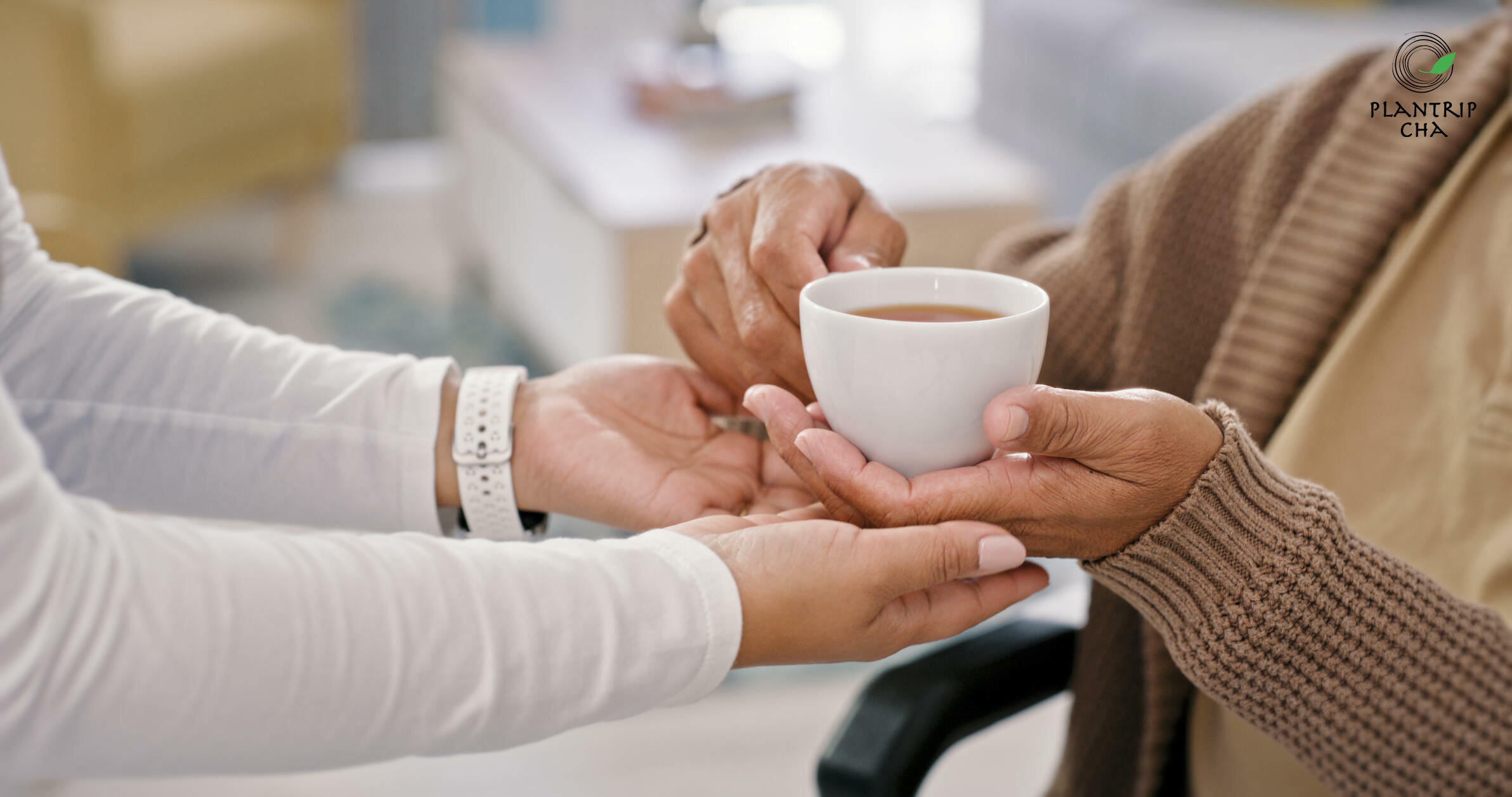 Trà Xanh Lài giúp giảm căng thẳng, mệt mỏi cho bạn một cảm giác dễ chịu và thư giãn - sưu tầm.