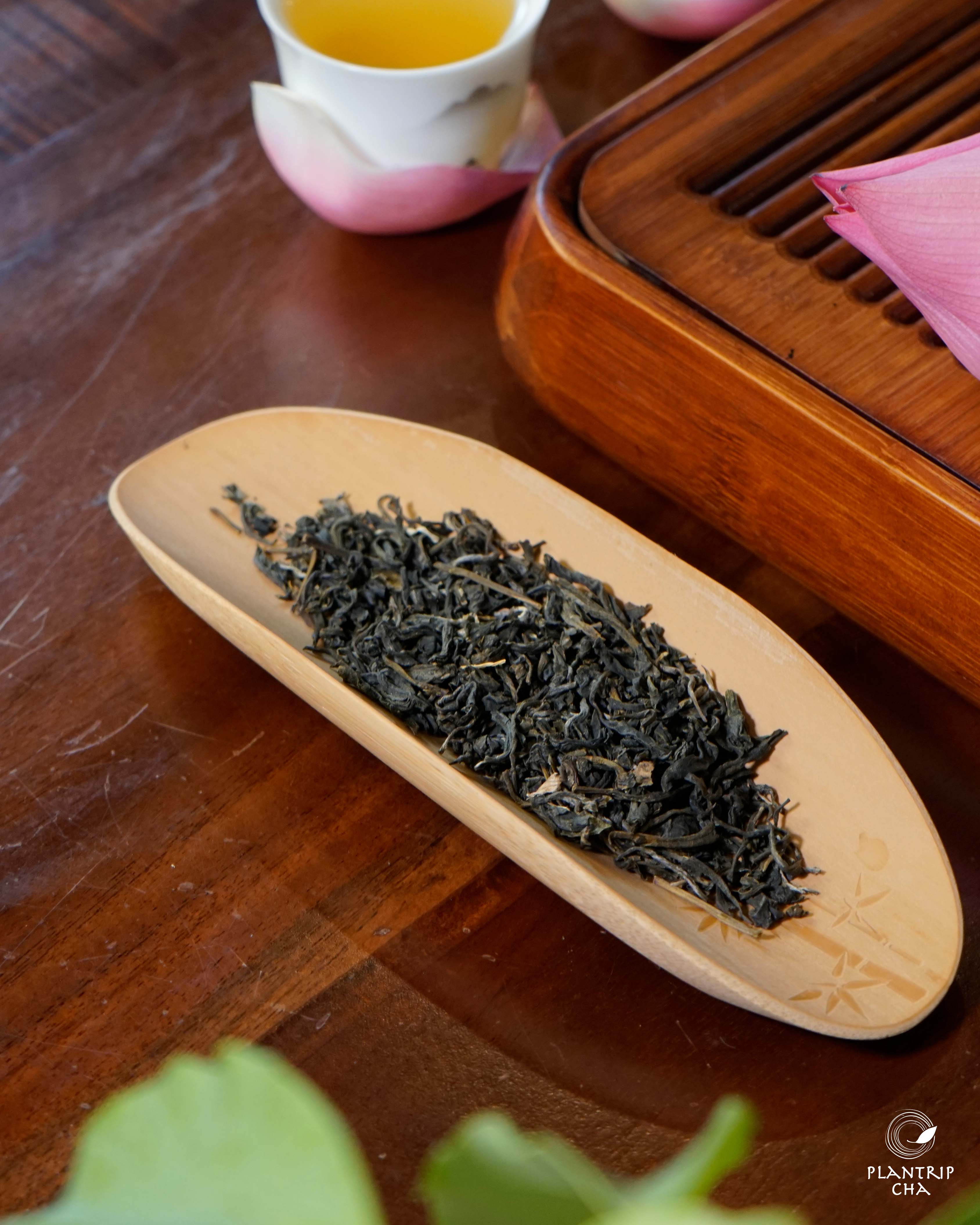 Trà Xanh Sen Ngàn Búp Đồng Văn Thượng Hạng.