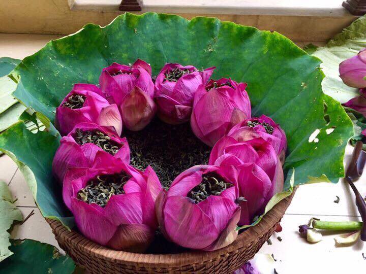 Trà Xanh Ướp Hoa Sen, “đặc sản” của vùng đất Thủ đô Hà Nội Ảnh: Sưu tầm