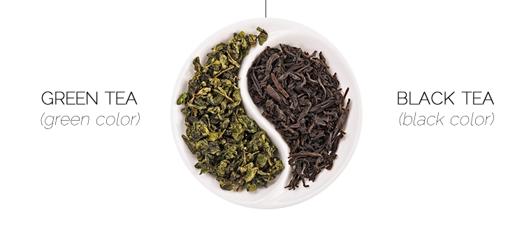 Trà Đen hiện đang là một trong những mặt hàng trà xuất khẩu có sản lượng cao nhất thế giới - Ảnh: Sưu tầm