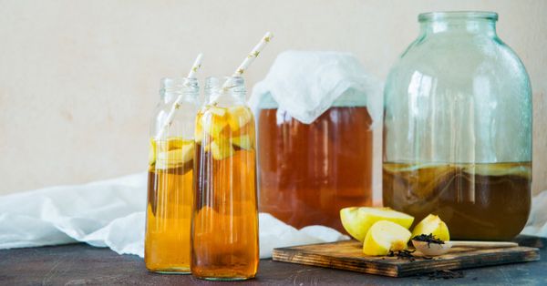 uống trà kombucha có tốt không