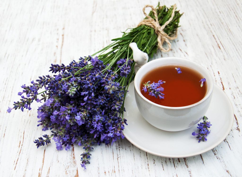 uống trà gì dễ ngủ - trà hoa oải hương