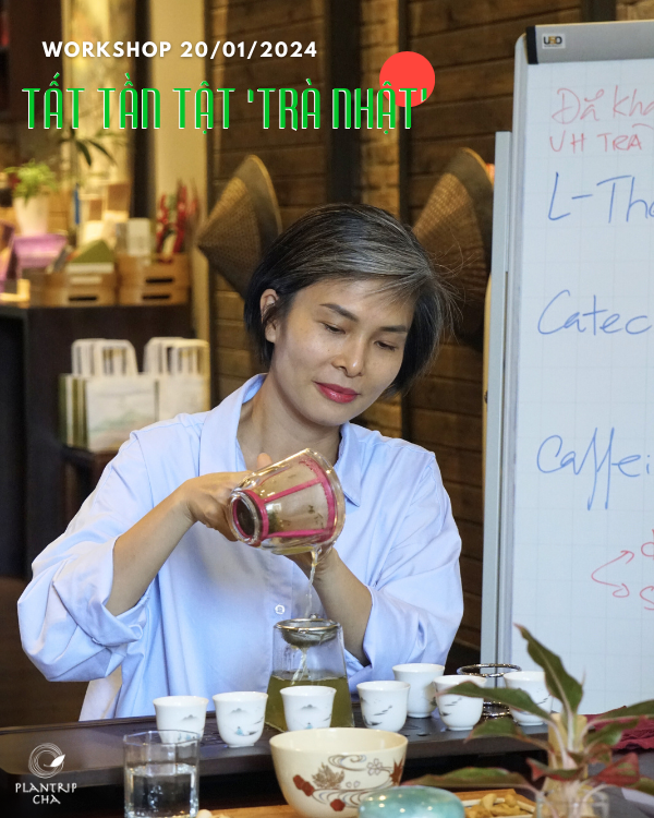 Tea Specialist Kim Thanh sẽ trực tiếp chia sẻ về trà Nhật trong buổi workshop.