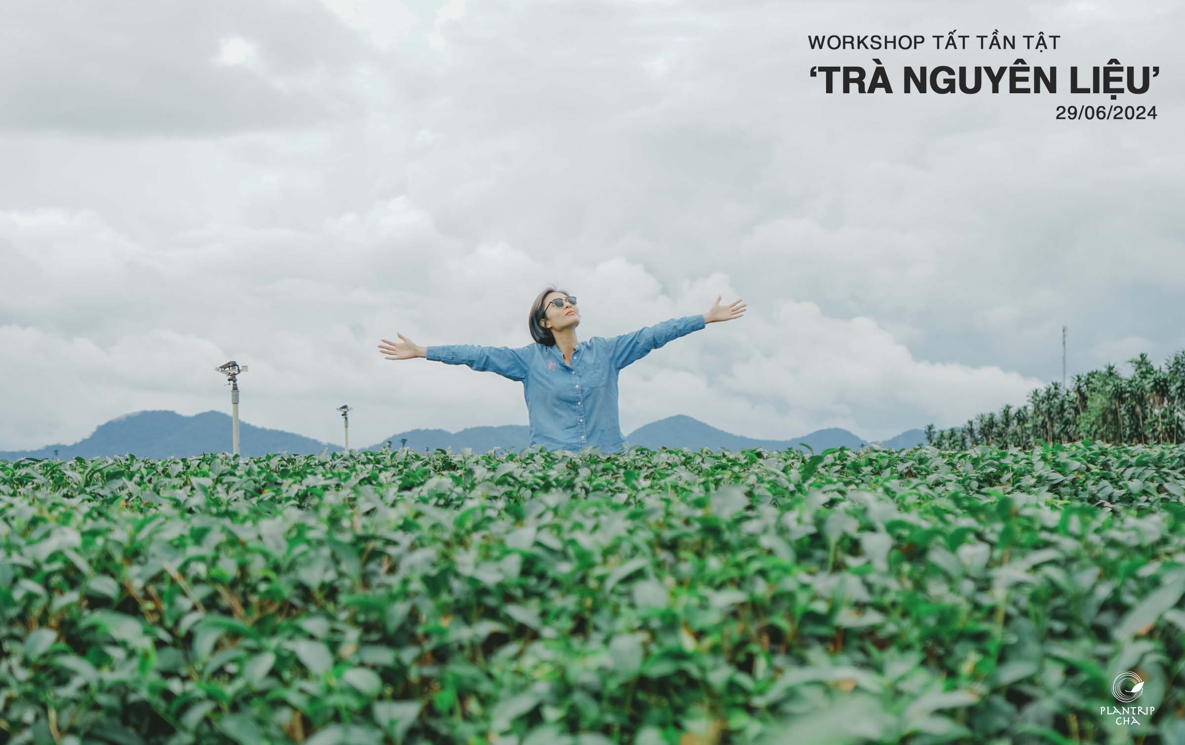 10 năm ngang dọc để hiểu về trà, được Plantrip Cha cô động trong buổi Workshop Tất Tần Tật ‘Trà Nguyên Liệu’.