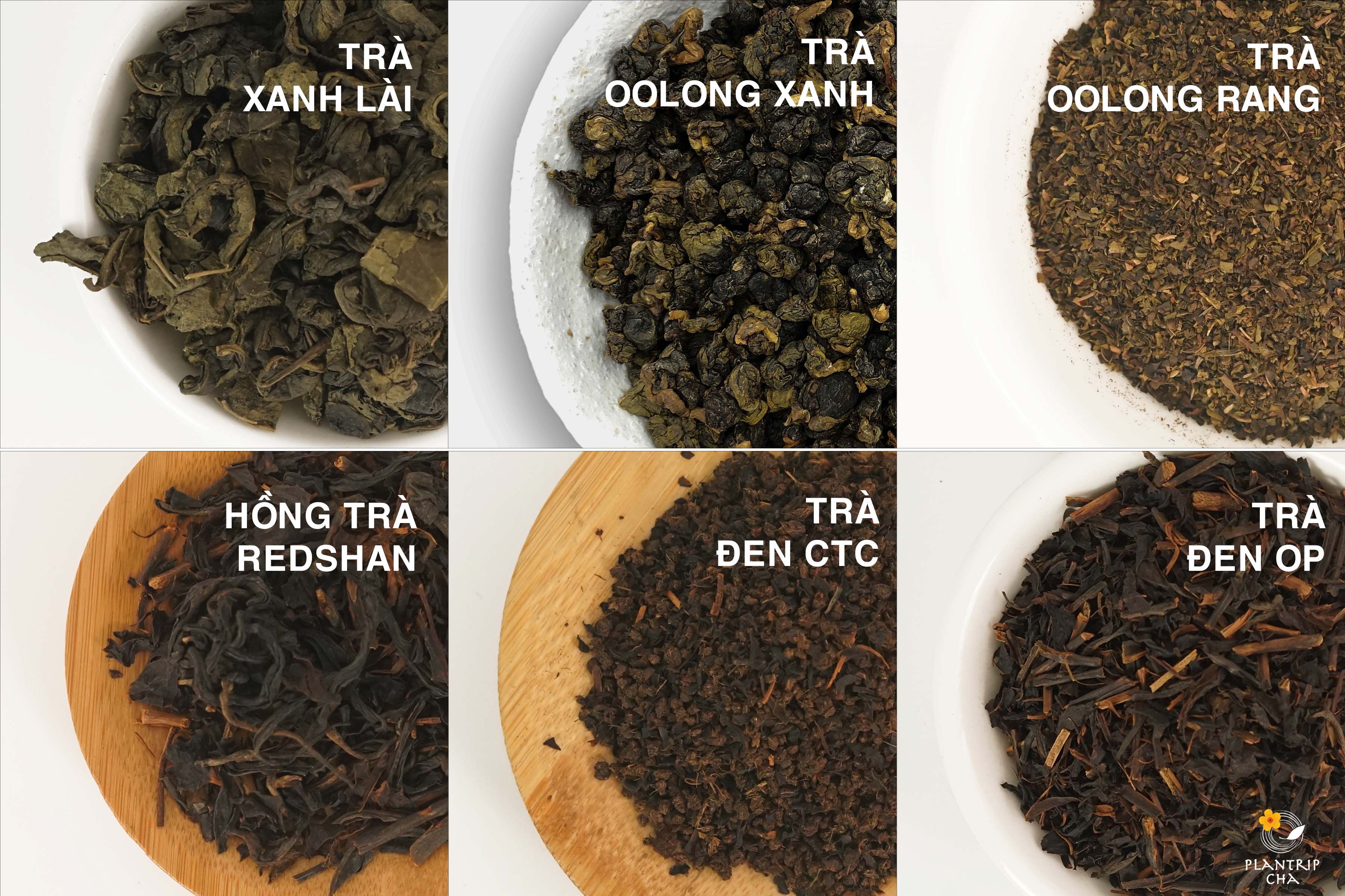 Quà tặng 06 loại trà nguyên liệu của Plantrip Cha hot nhất thị trường.