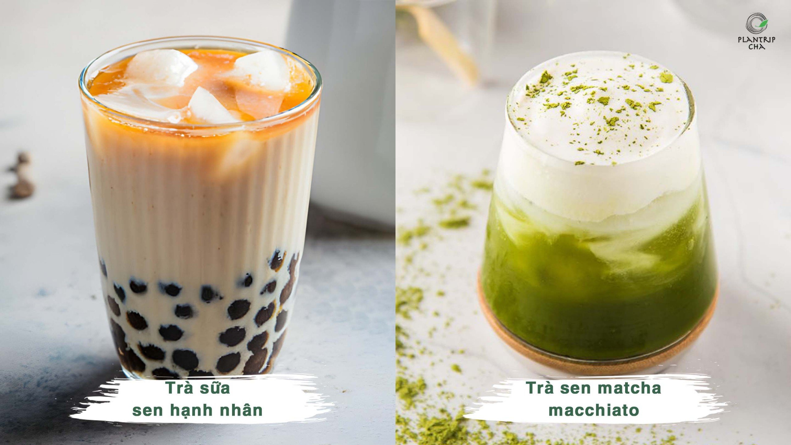 Các tuyệt phẩm làm từ Trà Xanh Sen: Trà sữa sen hạnh nhân, Trà sen matcha macchiato.