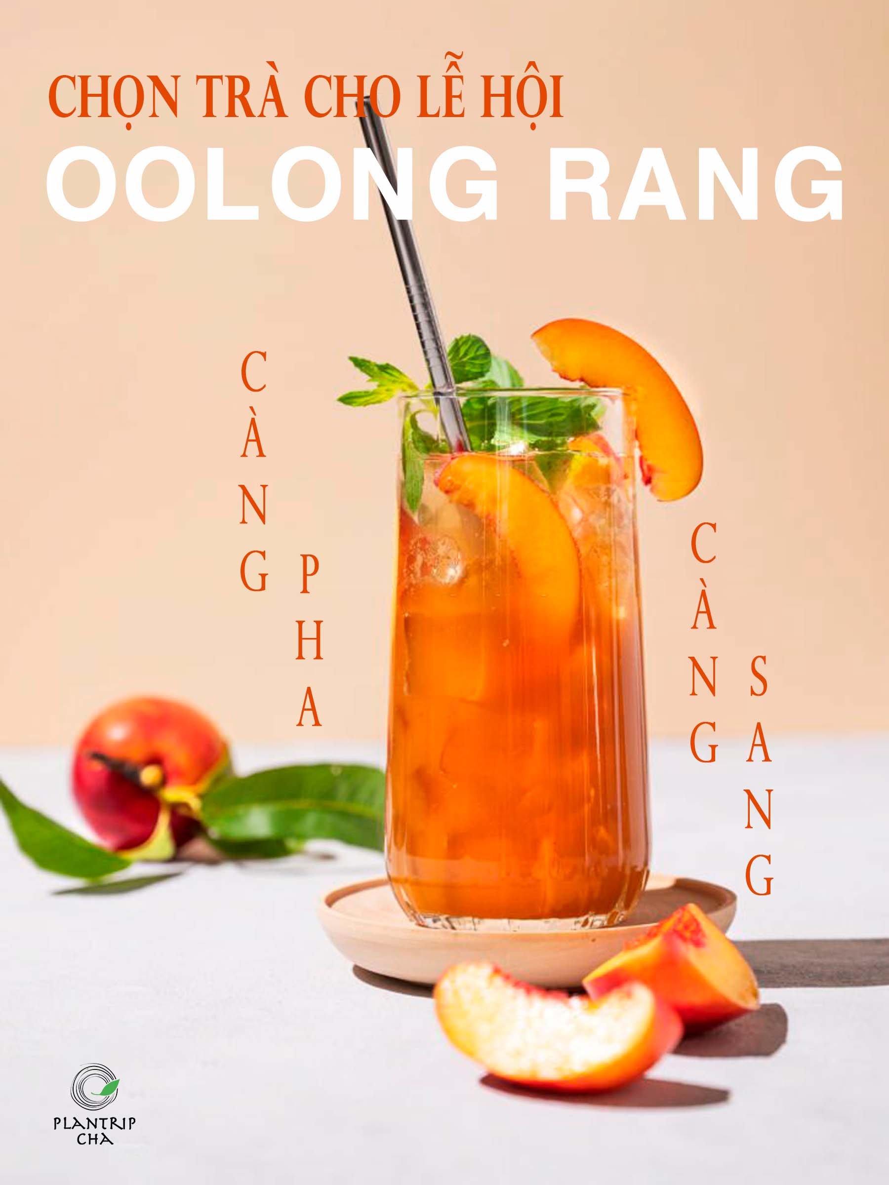 Trà Oolong Rang - Càng pha càng sang