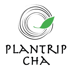 Plantrip Cha