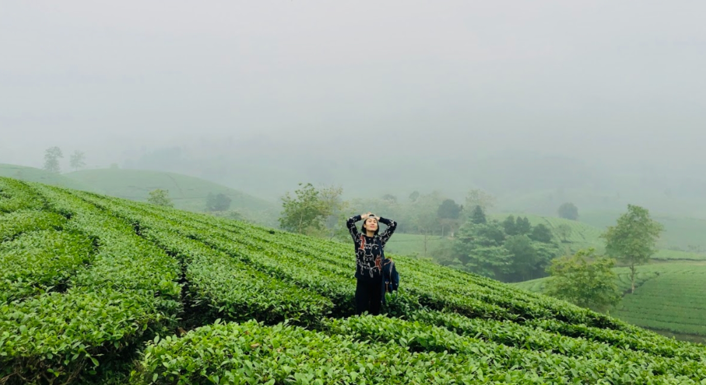 	Là chuyến du hành bất tận trong thế giới hương vị tuyệt mỹ của trà.