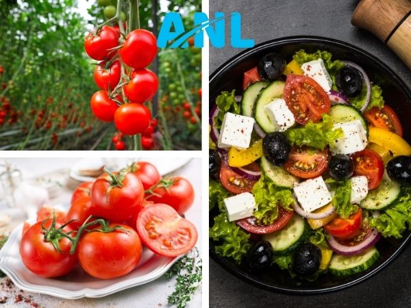 Cà chua có công dụng gì đối với sức khỏe và cơ thể?