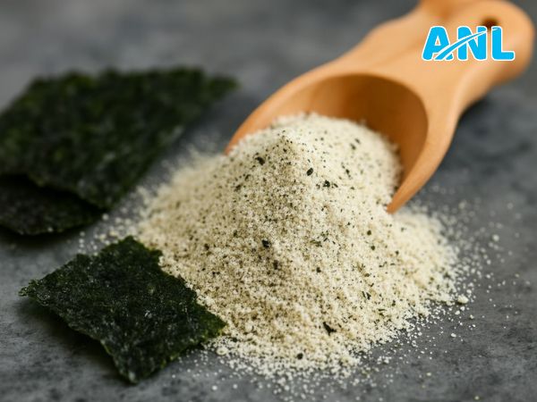 Bột rong biển là gì?