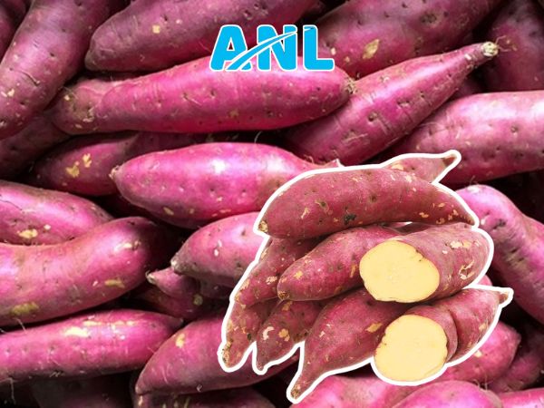 Cách chọn khoai ngon chất lượng