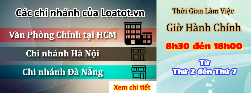 loa di động