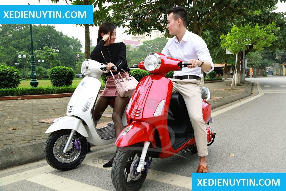 Chọn xe đạp điện giá rẻ đầu năm mới 2016