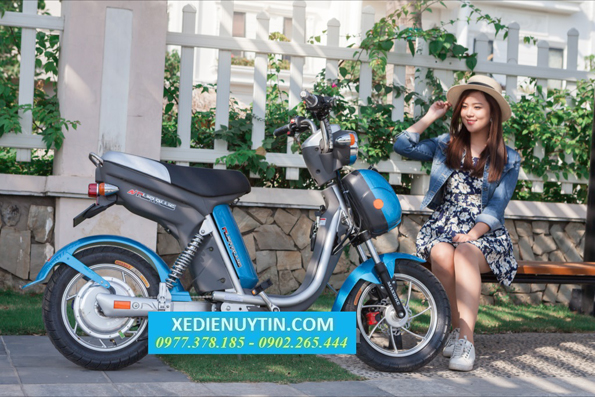 Xe đạp điện Nijia Plus 2017 nhập khẩu nguyên chiếc
