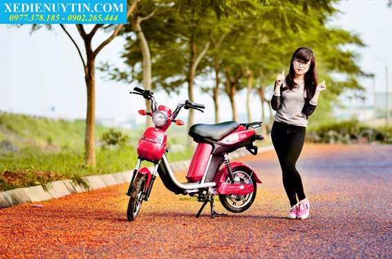 Ắc quy xe đạp điện