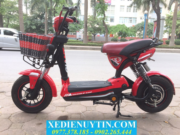 Xe đạp điện Giant 133 giá rẻ