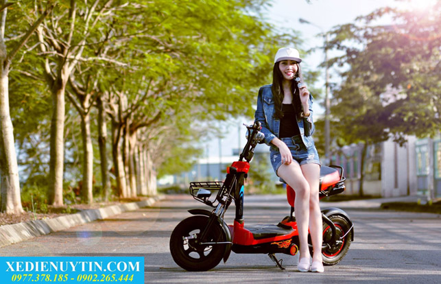 Xe đạp điện mới 2017