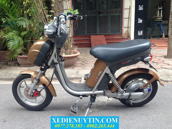 Xe đạp điện Nijia cũ