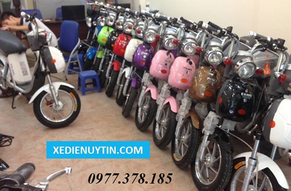 Xe đạp điện Nijia 2016 nhập khẩu