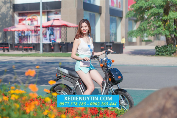 Xe đạp điện Nijia Plus 2017 chính hãng