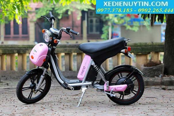 Xe đạp điện Pega