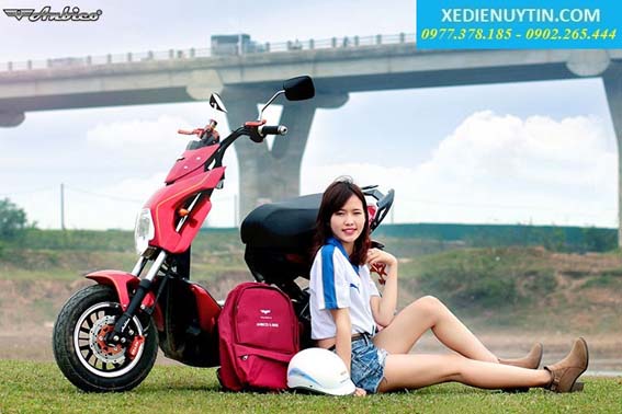 Xe đạp điện giá rẻ cho học sinh