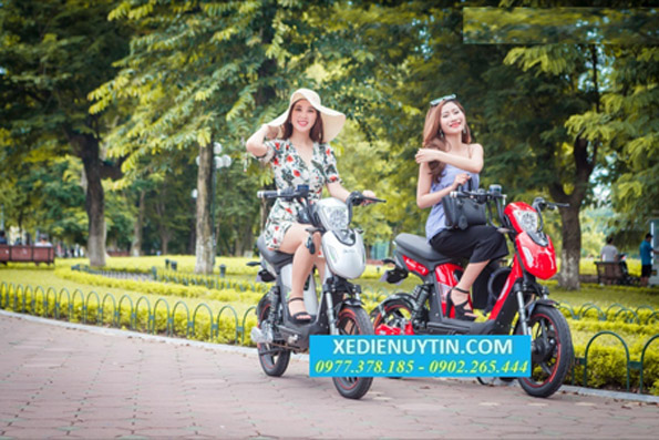 Xe đạp điện Dk Samurai 2017