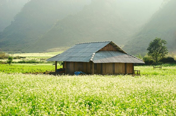 Cao nguyên Mộc Châu