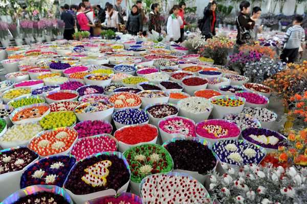 chợ hoa Gia Minh