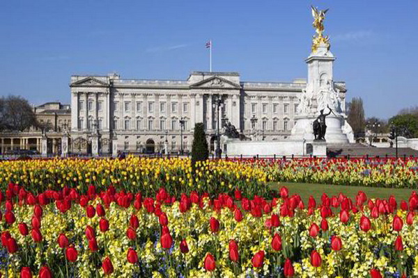 Ngẩn ngơ trước vẻ diễm lệ của cung điện Buckingham