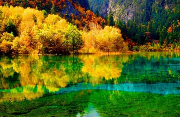 Những thảm lá chuyển sắc vàng rực bên dòng nước xanh trong tiết trời mùa thu