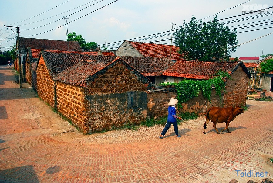 Làng cổ Đường Lâm - Alibaba Tours