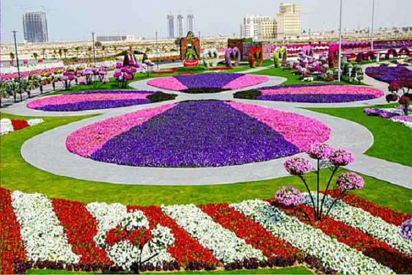 Vuon hoa Miracle Garden