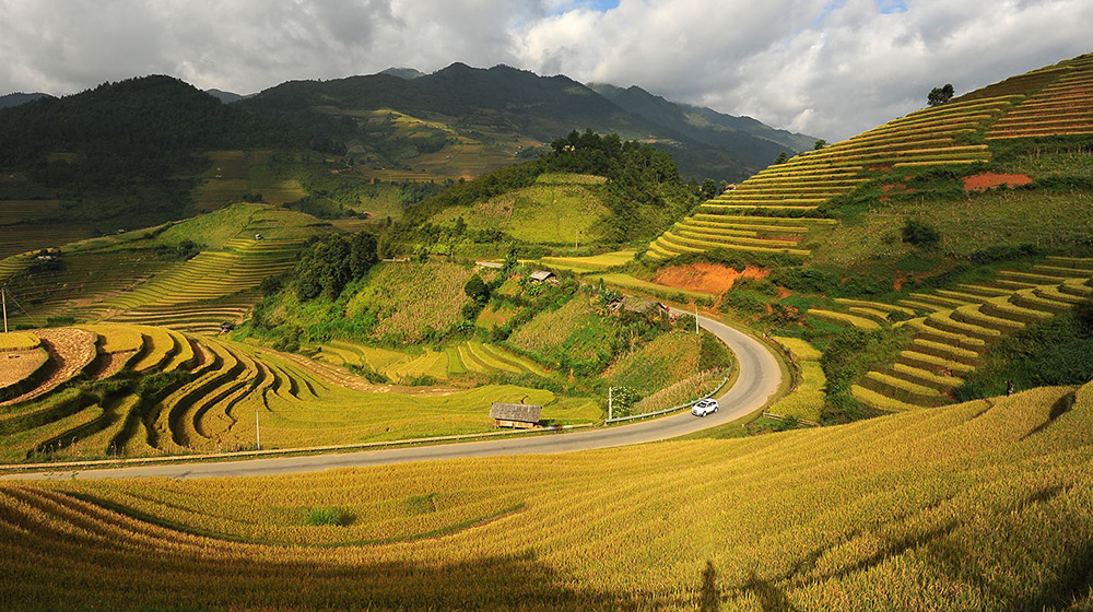 Mù Cang Chải