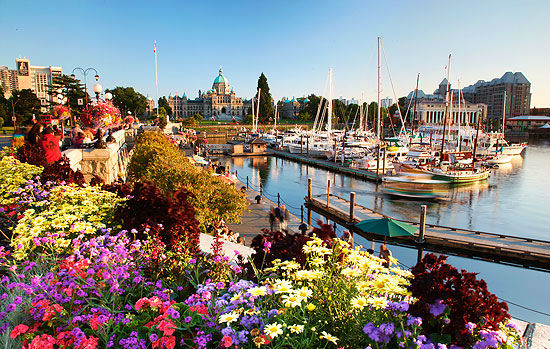 Thành phố Victoria - viên ngọc quý của xứ sở lá phong Canada