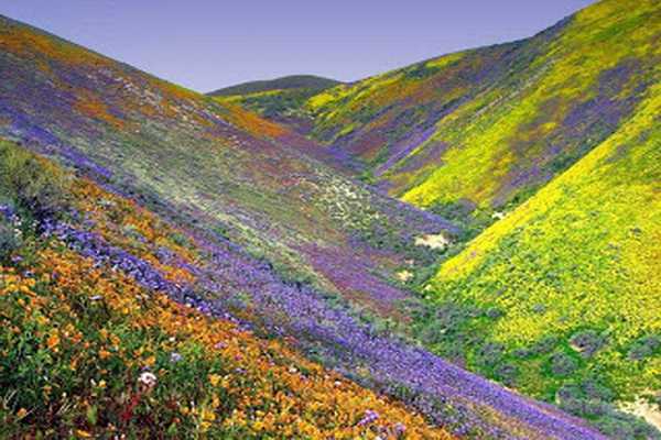 Thung lũng Himalaya - Du lịch Tây Tạng