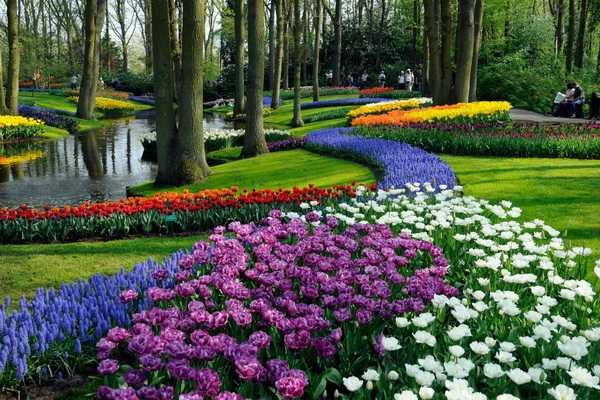 Khu vườn hoa Keukenhof rực rỡ ở Hà Lan