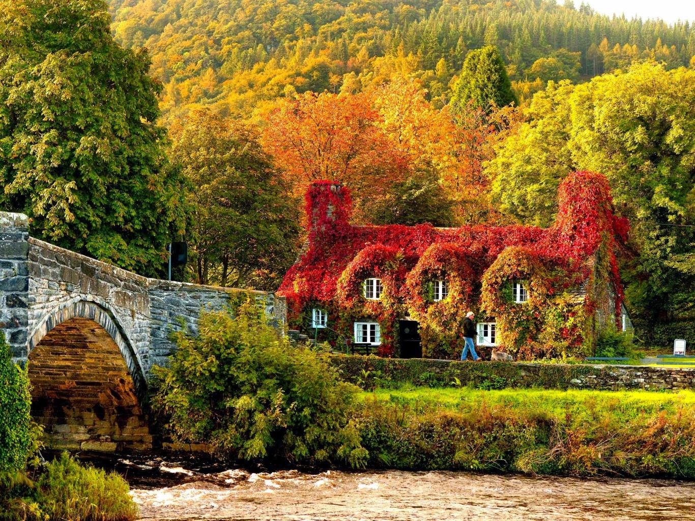 Xứ Wales - quê hương của bông hồng nước Anh - công nương Diana