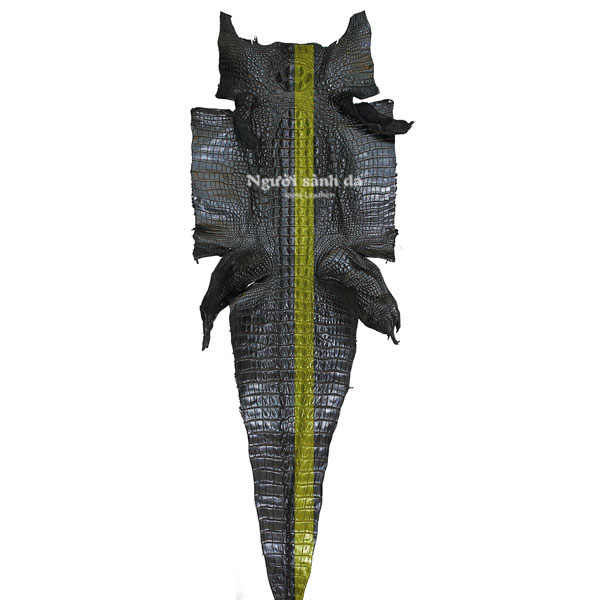 Phôi da làm thắt lưng nguyên con da cá sấu màu đen