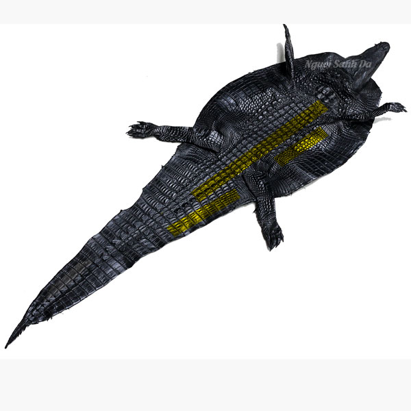 Thắt lưng da cá sấu thật màu nâu Người Sành Da