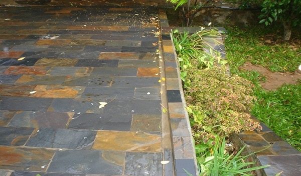 Đa sắc và đẹp tự nhiên