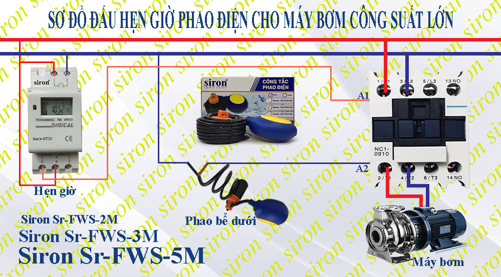 Hình ảnh bài viết