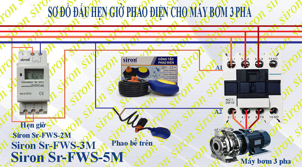 Hình ảnh bài viết