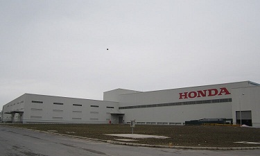 Owl Image