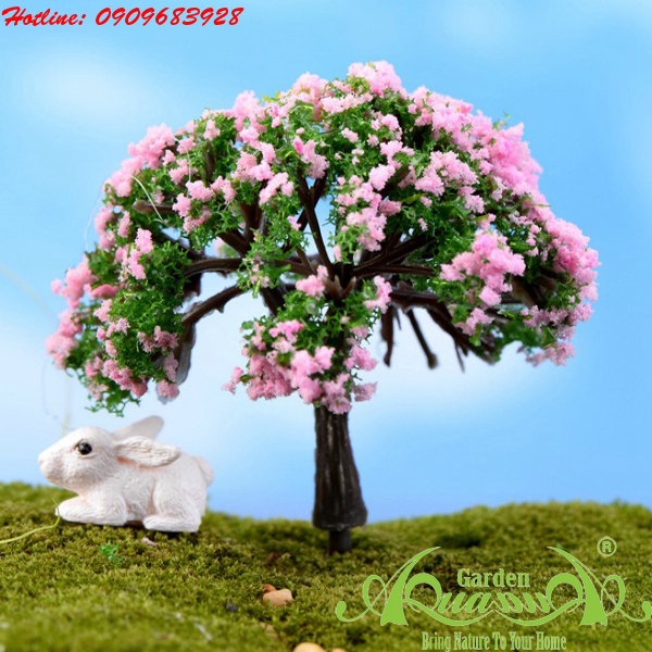 Phụ kiện Terrarium AquaGarden.