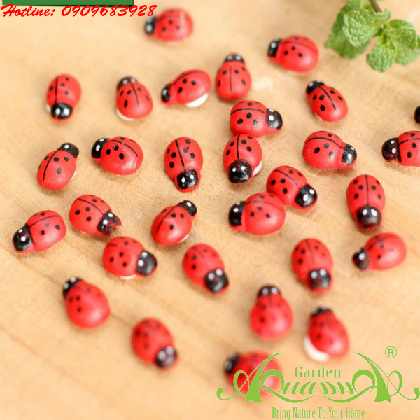 Phụ kiện Terrarium  AquaGarden.