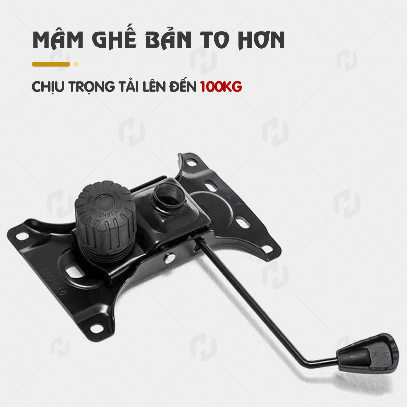ghế công thái học s1