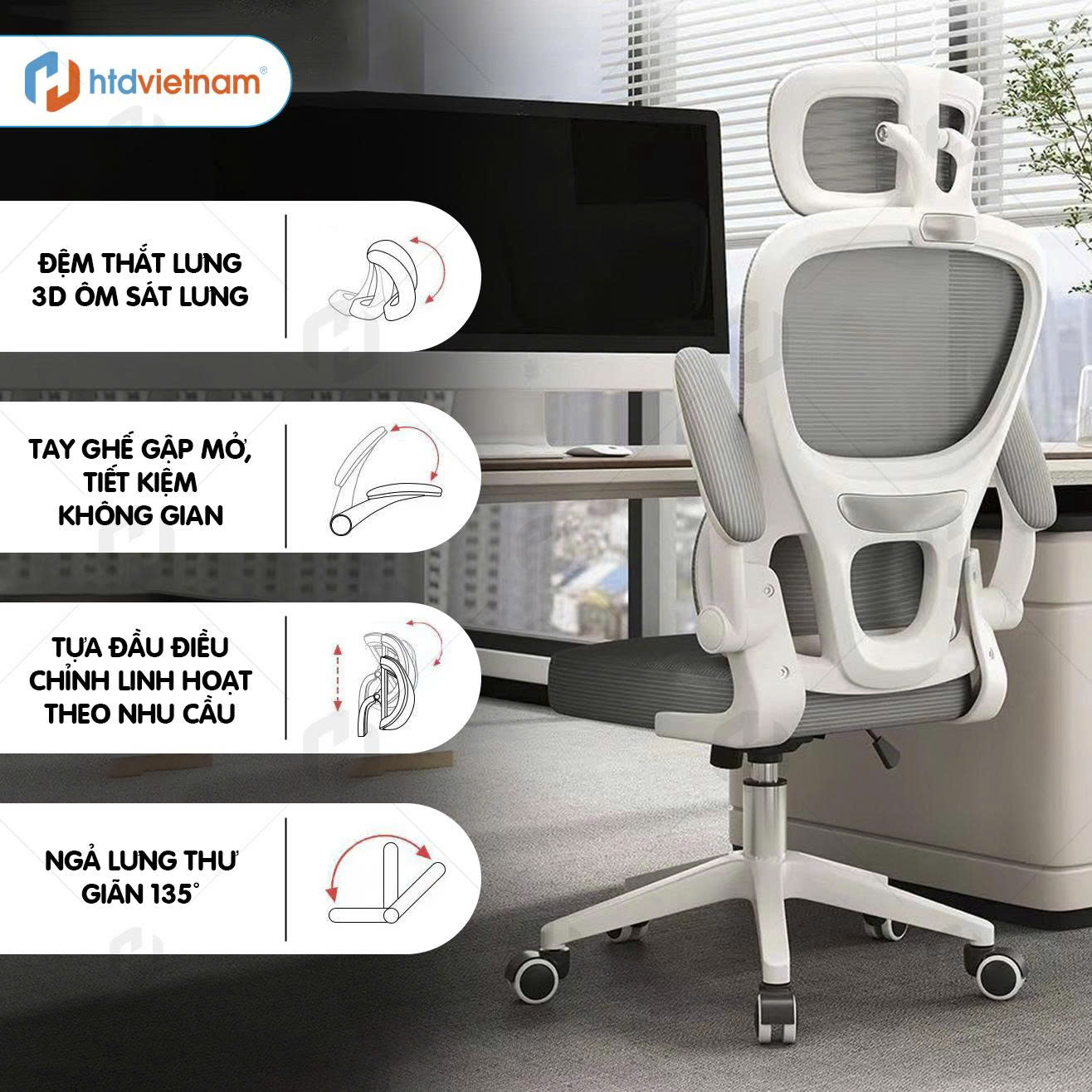 ghế công thái học s1